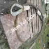 Metal Steel Rope (Used) - Image 2